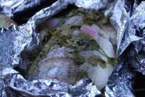 grilled bass recipes
